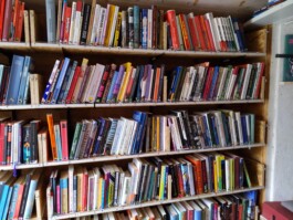 lotte-bibliothek.org